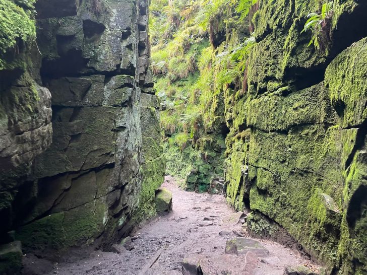Lud’s Church Circular Walk: From the Roaches