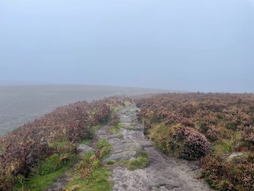 path along white edge - misty weather