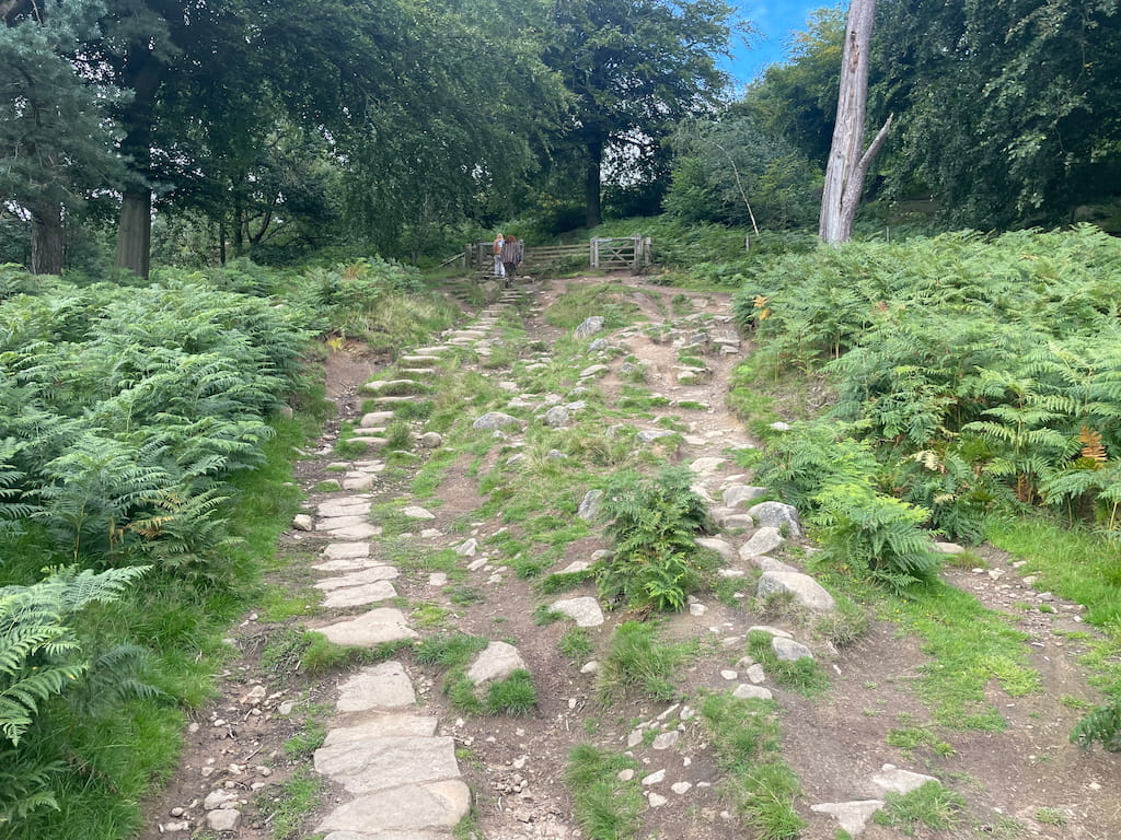 stanage edge up hill wooded area