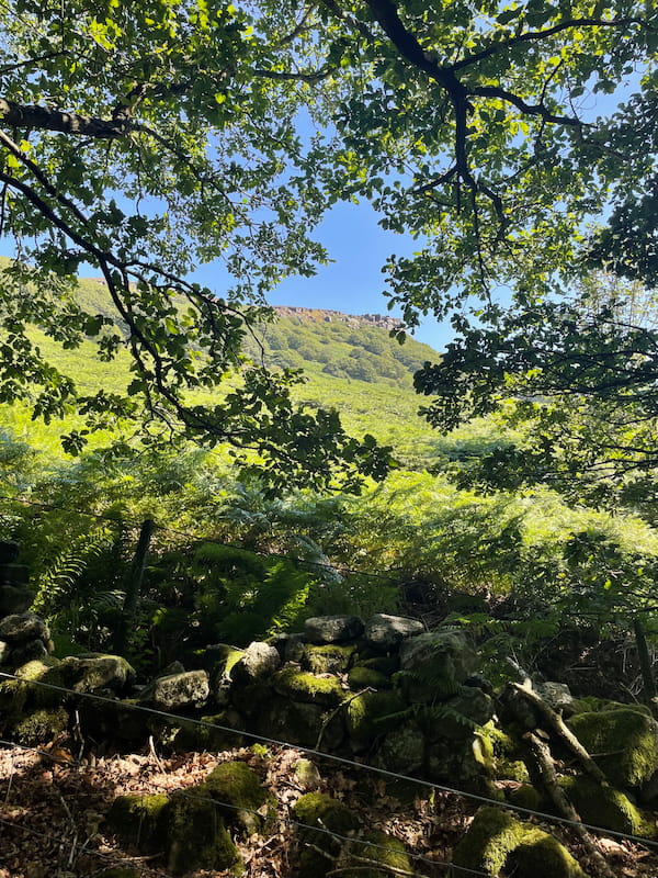 bamford edge visible through the trees