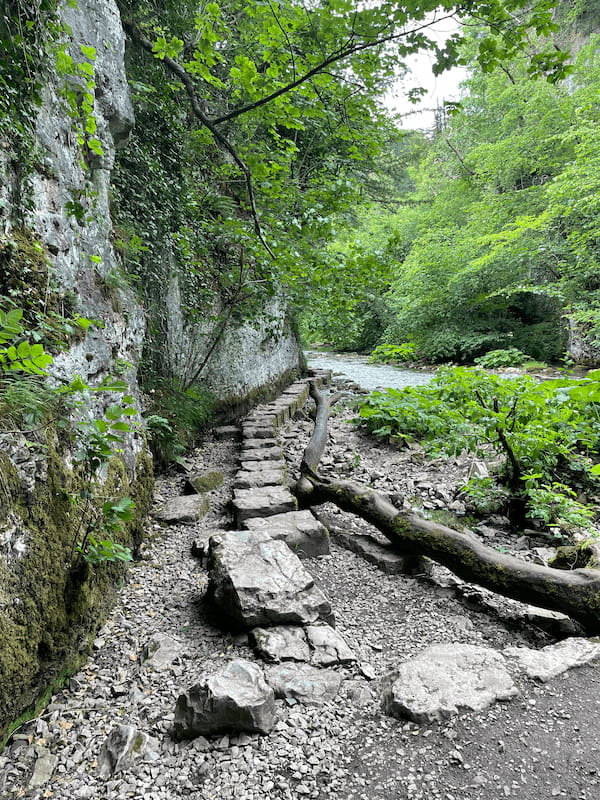 chee dale stepping stones steps