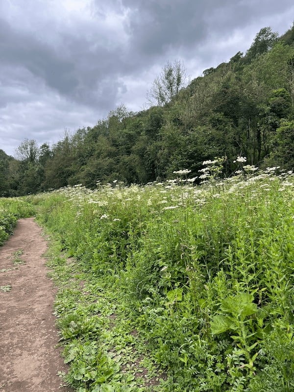 chee dale stepping stones walk along river path