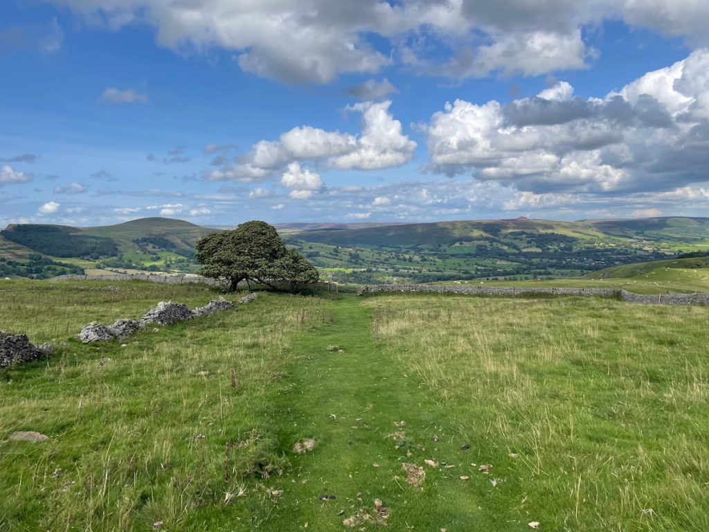 cave dale walk - tree and gate with view of hope valley