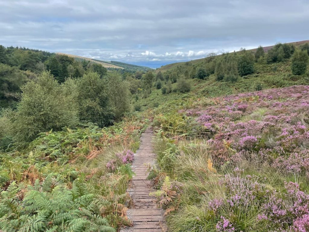muddy path section of errwood reservoir walk