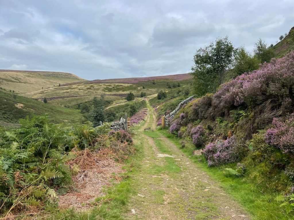 track with gate - path around errwood reservoir