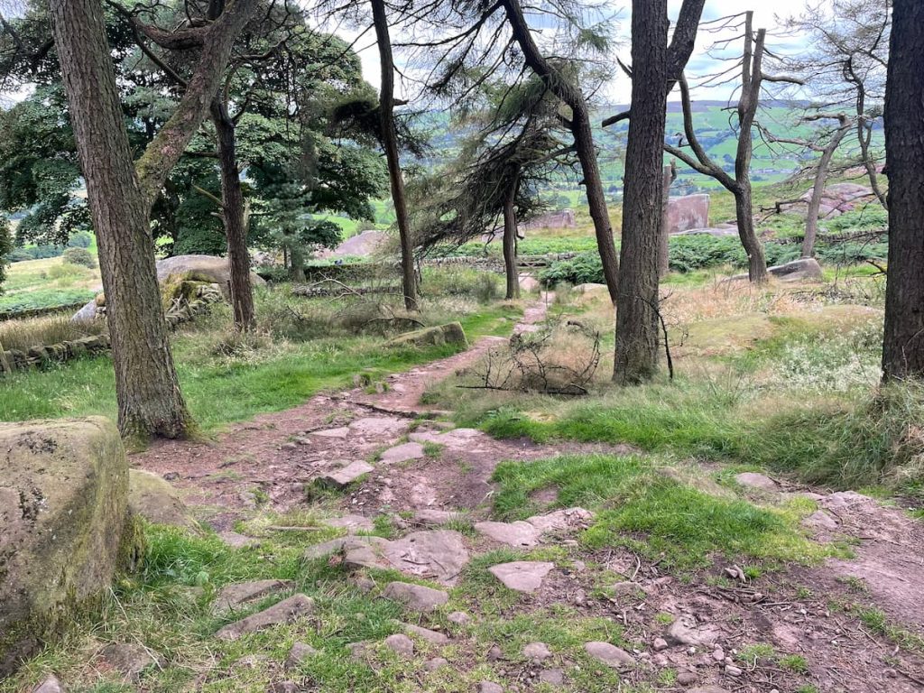 walk in the roaches wood