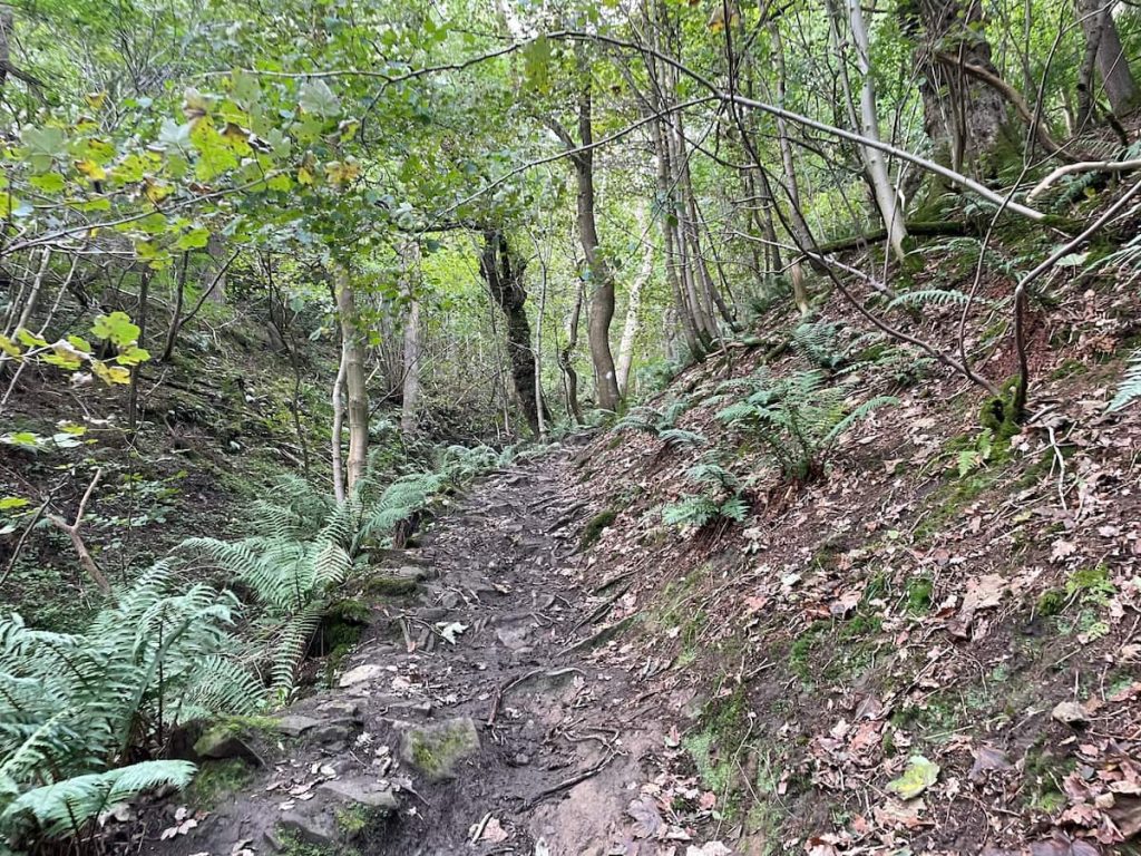 win hill walk muddy steep section