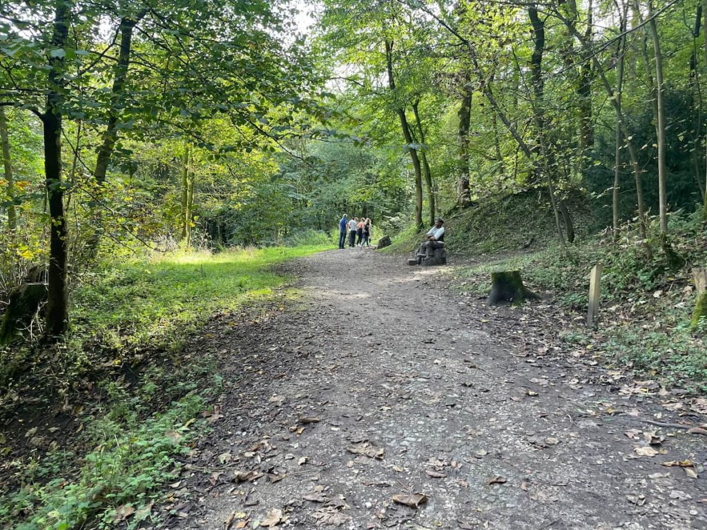 buxton country park forest