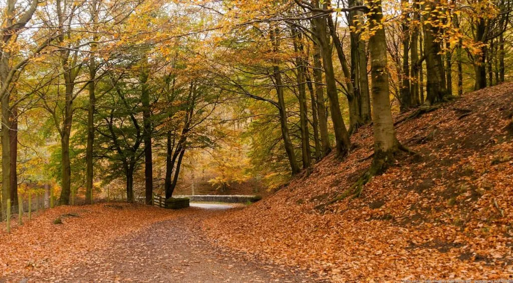 path along side derwent reservoir