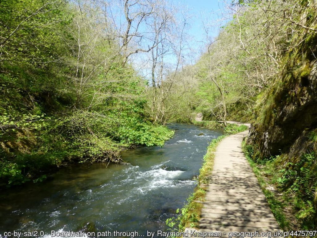 boardwalk along the river dove
