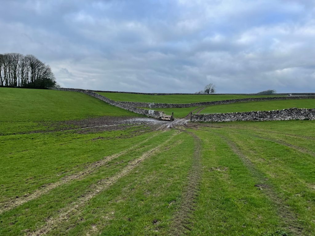 footpath over fields with silver painted stone walls