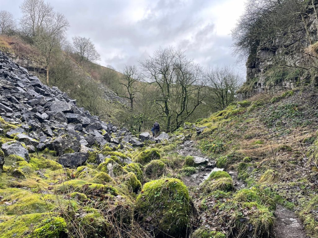 rocks from quarry in lathkill dale