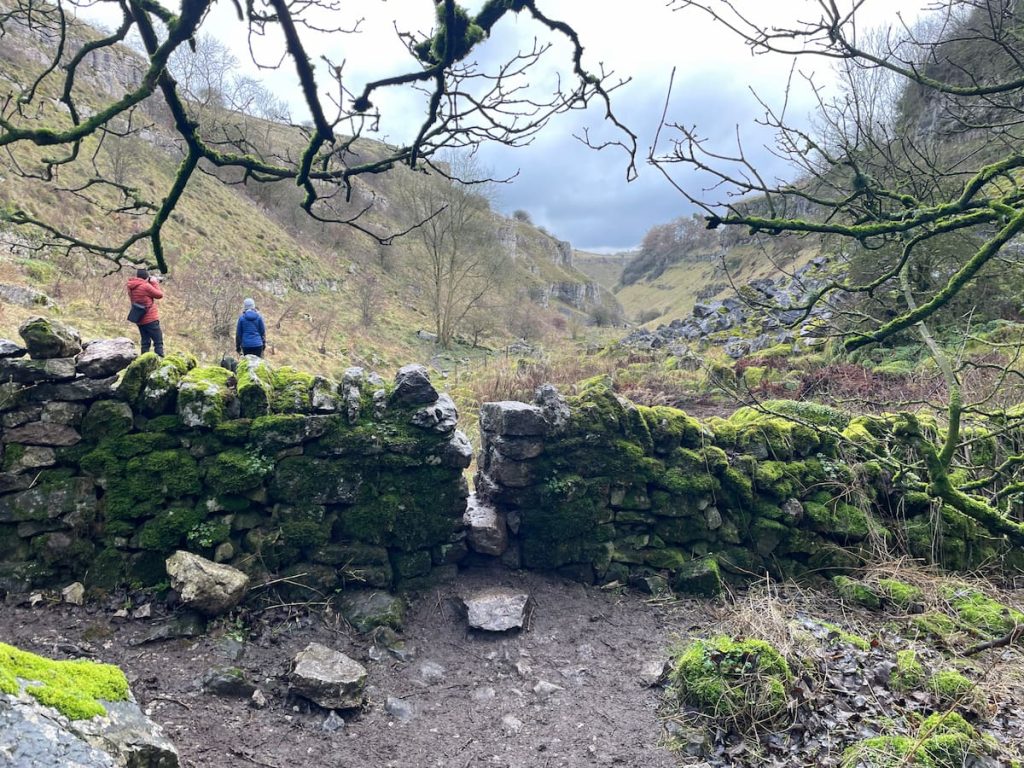 stone wall tree and view of lathkill dale