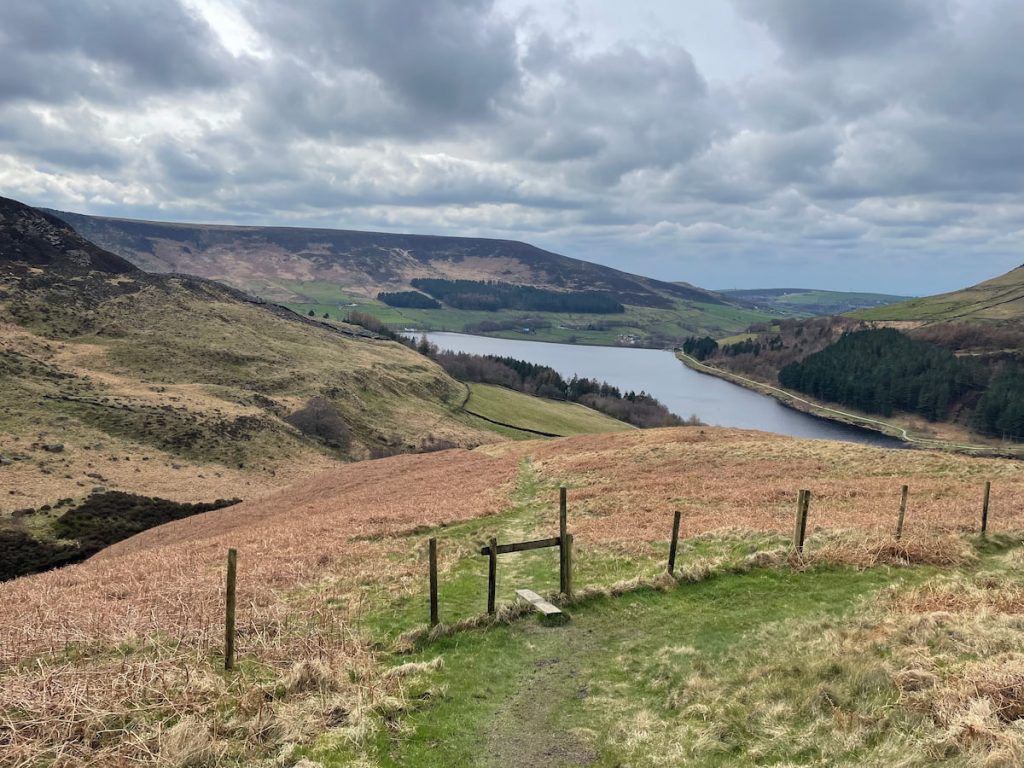 path downhill diagonally over a stile