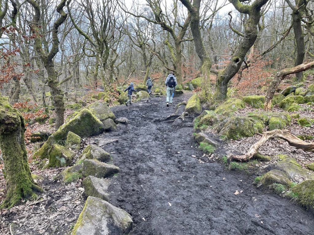 deeper into the ancient woodland of Padley Gorge