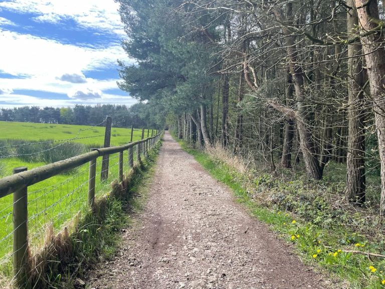 tittesworth-reservoir-walk-circular-visiting-guide-peakdistrict