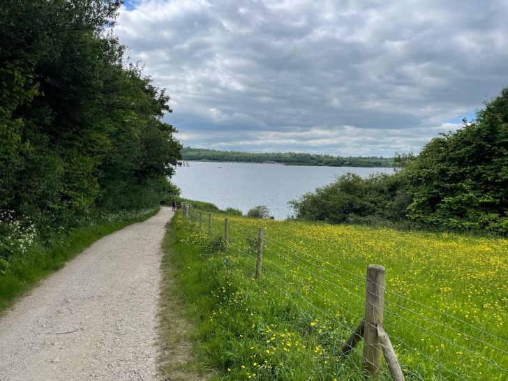 Carsington Water Walks & Visiting Guide (Various Distances)