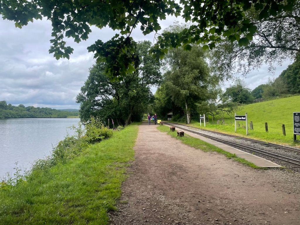 Hunthouse Wood with view of rudyard lake
