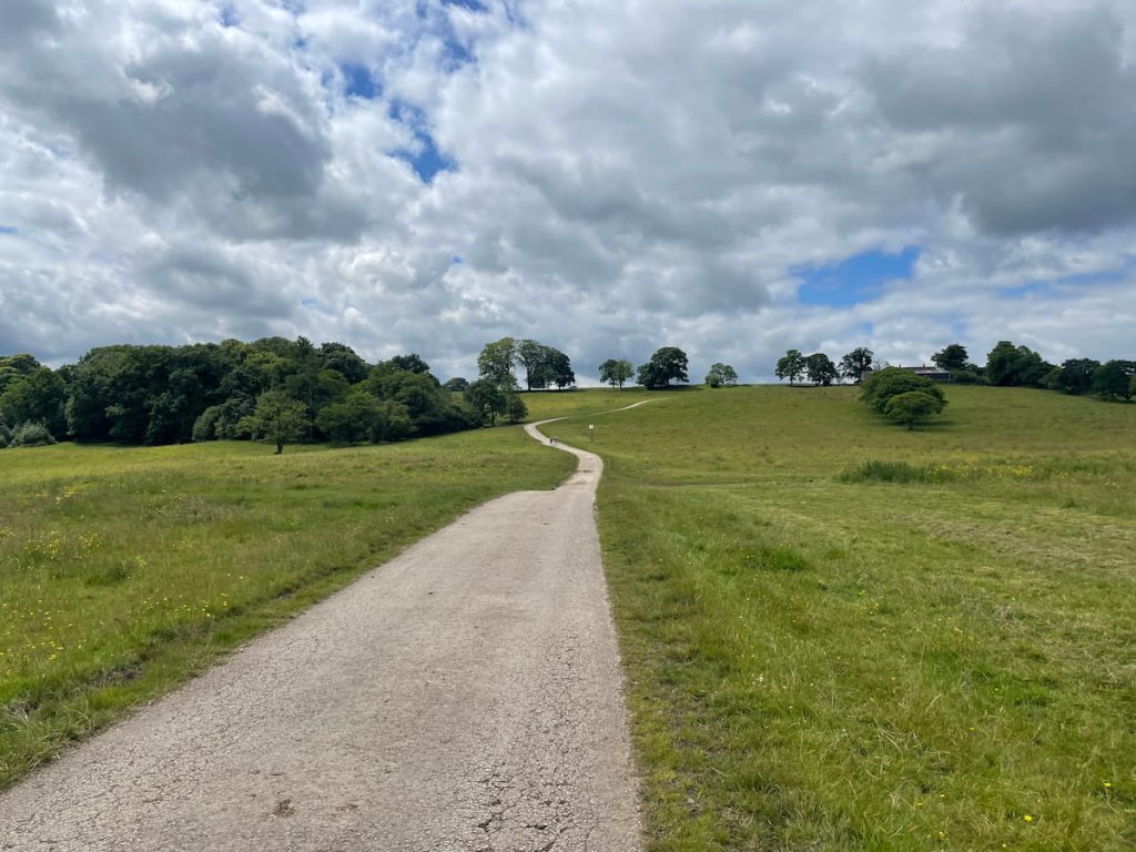 large open field with road