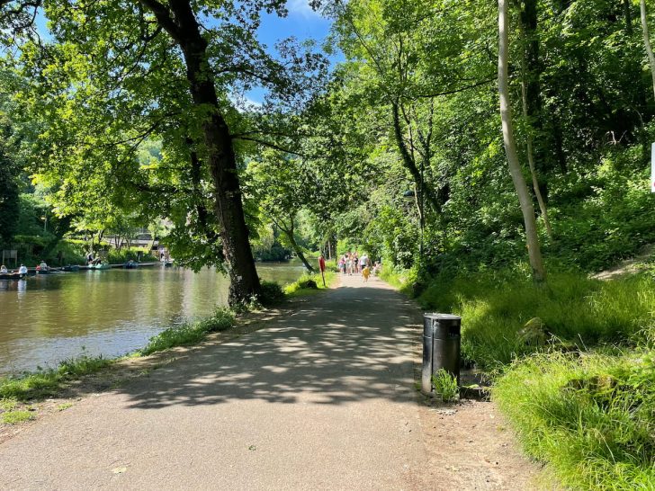 18+ Interesting Things to do in Matlock & Matlock Bath (2024