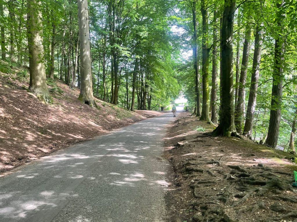 road out from derwent dam visitors centre