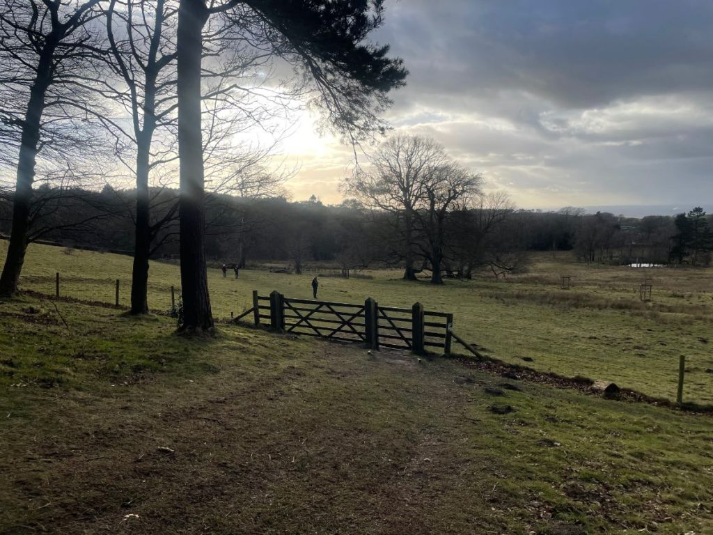 gate into Turnhouse Meadow lyme park walk