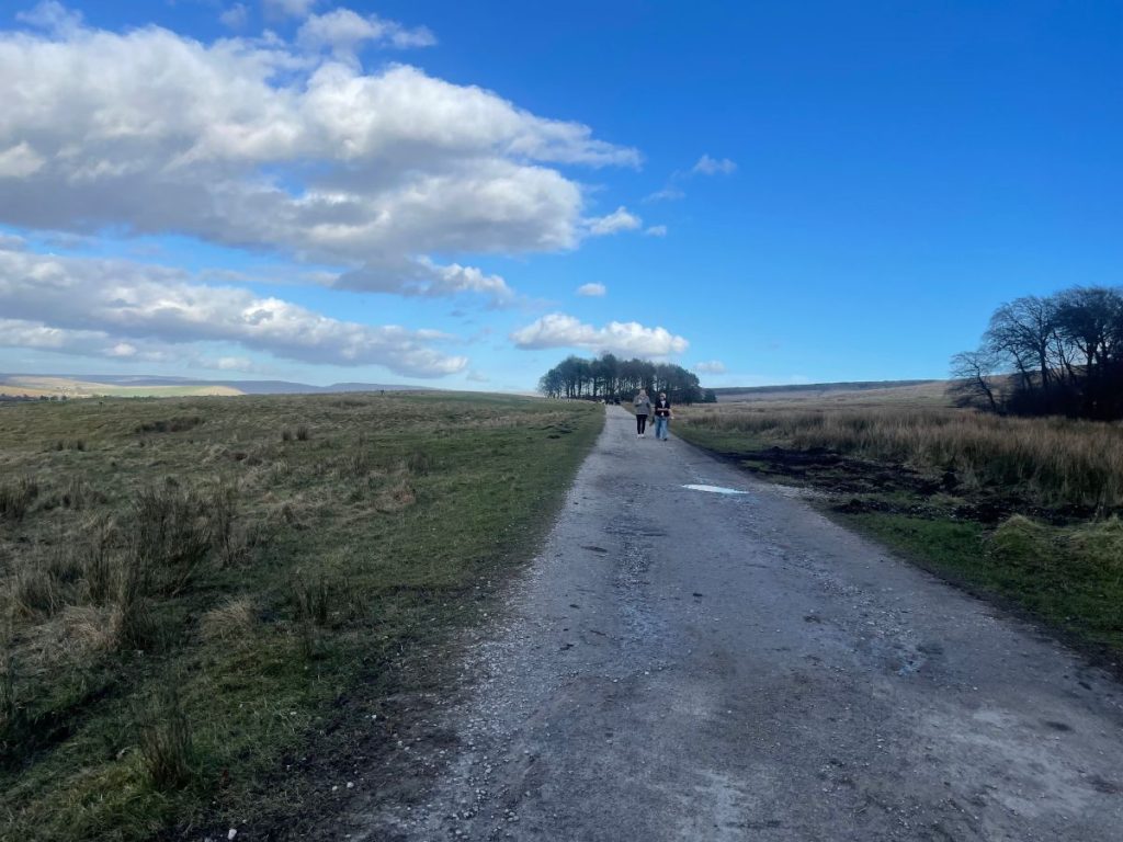 lyme park walk path leading near deer