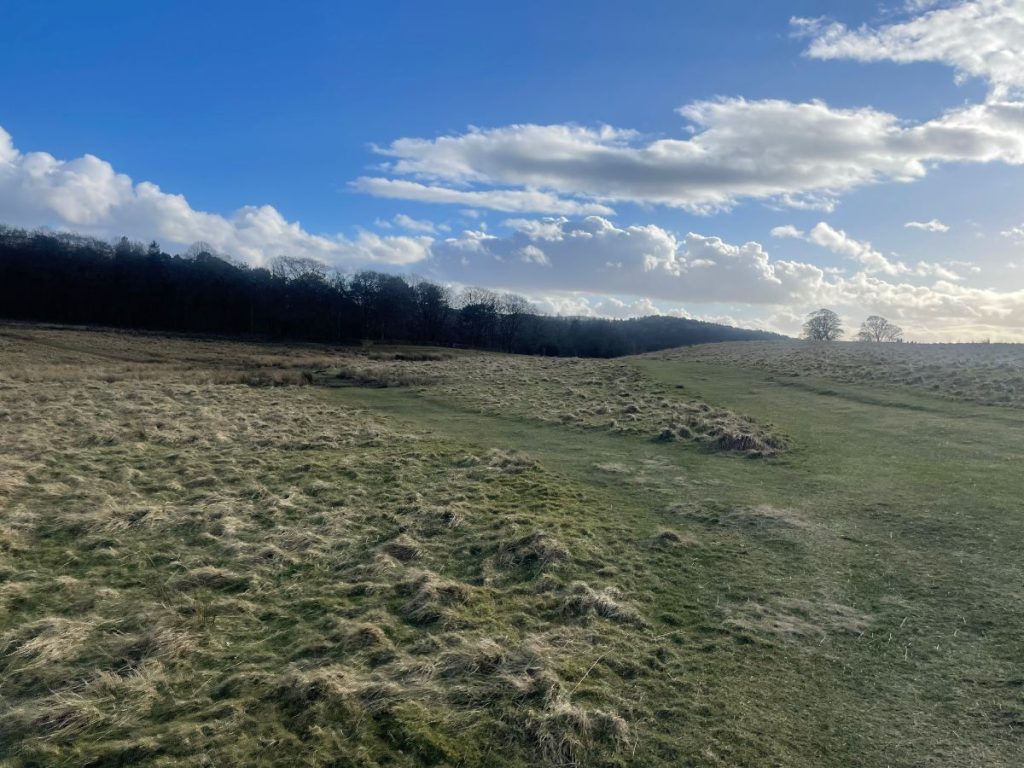path across moor lyme park walk