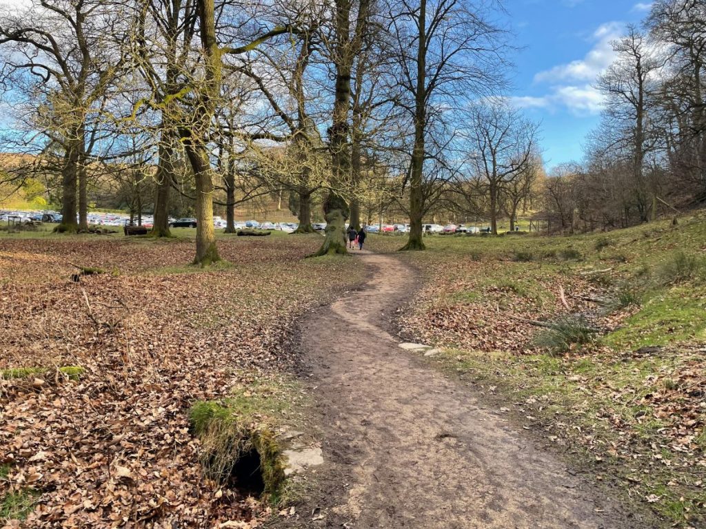 path around pond next to the timber yard at lyme park