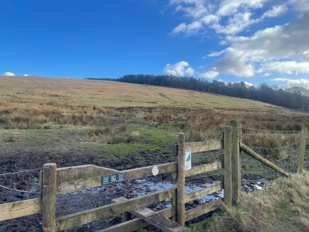 wooden stile and muddy path leading up hill at for lyme park walk