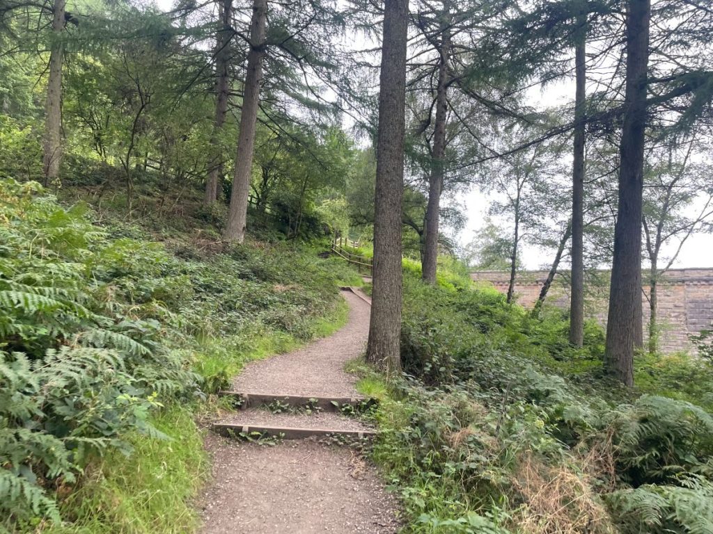 path uphill from fairholmes carpark