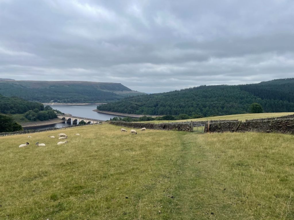 view over ladybower reservoir from near crook hill