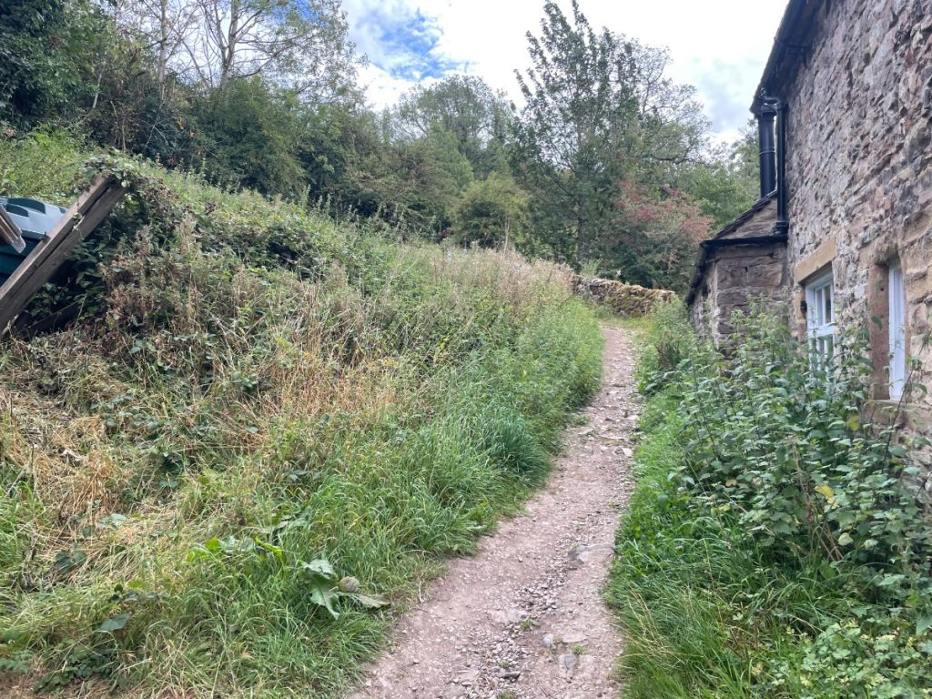 path behind wetton mill tea rooms