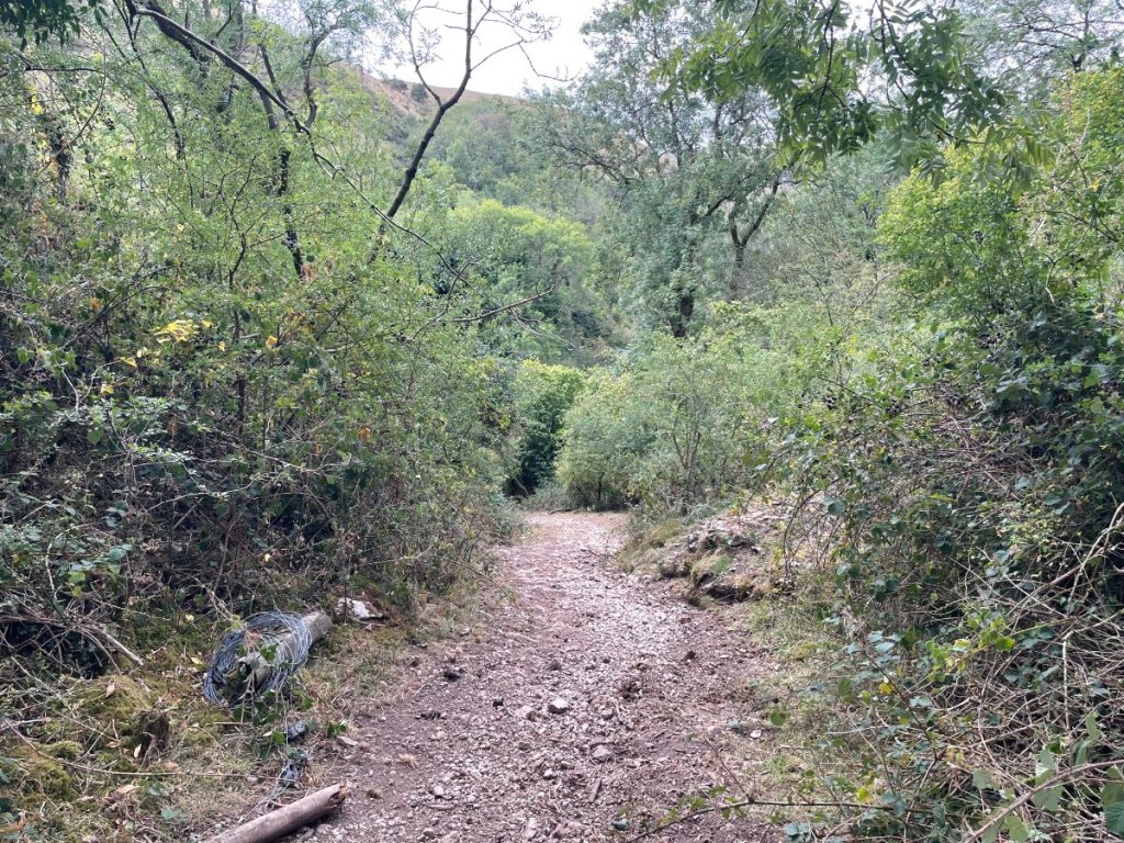 sugarloaf section of thors cave walk